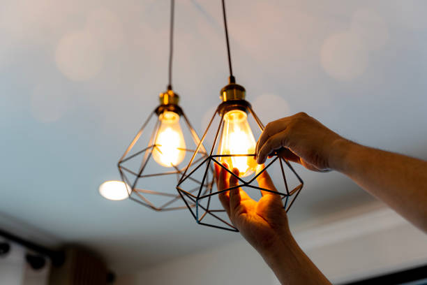 Best Circuit Breaker Repair  in Des Allemands, LA